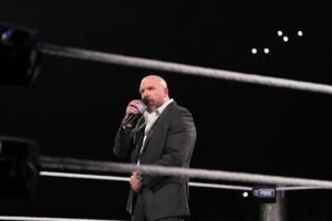 Triple H Cancels Highly Anticipated WWE Championship Match